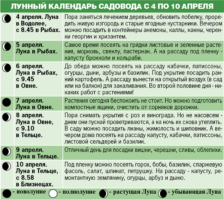 Садят ли в полнолуние. На какую луну сажать рассаду. В какие дни можно сажать рассаду. В марте какую рассаду можно сажать. Посадка на луну!.