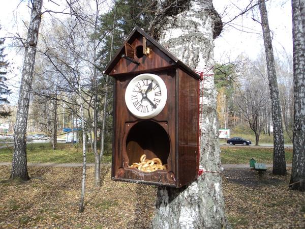 Фото с сайта: fotoham.ru