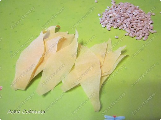 Мастер-класс Поделка изделие Моделирование конструирование Колосок из гофрированной бумаги Бумага гофрированная Крупа фото 7