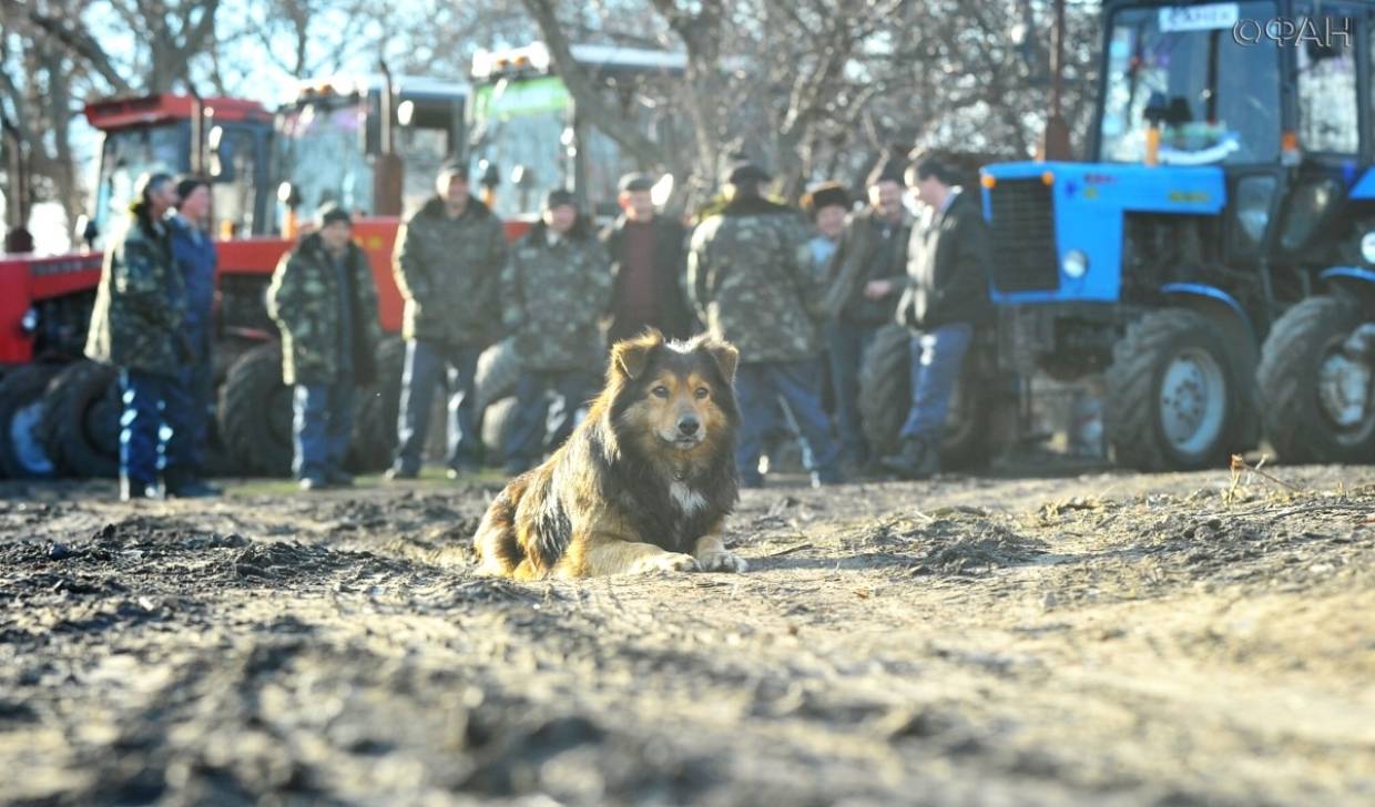 «Камень в огород»: кто и зачем вводит на Украине новый земельный налог