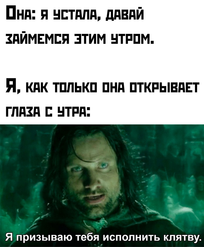 Интернет мемы и кот который не боится пылесоса 