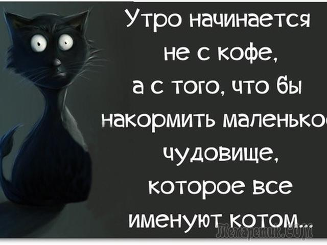 Иногда проще найти новую девушку своей мечты, чем исполнить мечту своей девушки! веселые картинки