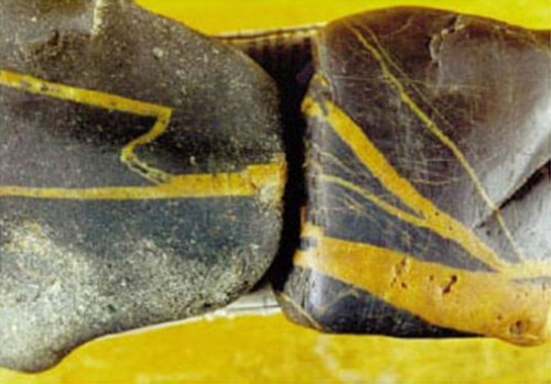 ОТКРЫТИЕ КРЕМНИЕВОЙ ФОРМЫ ЖИЗНИ  НА ЗЕМЛЕ  