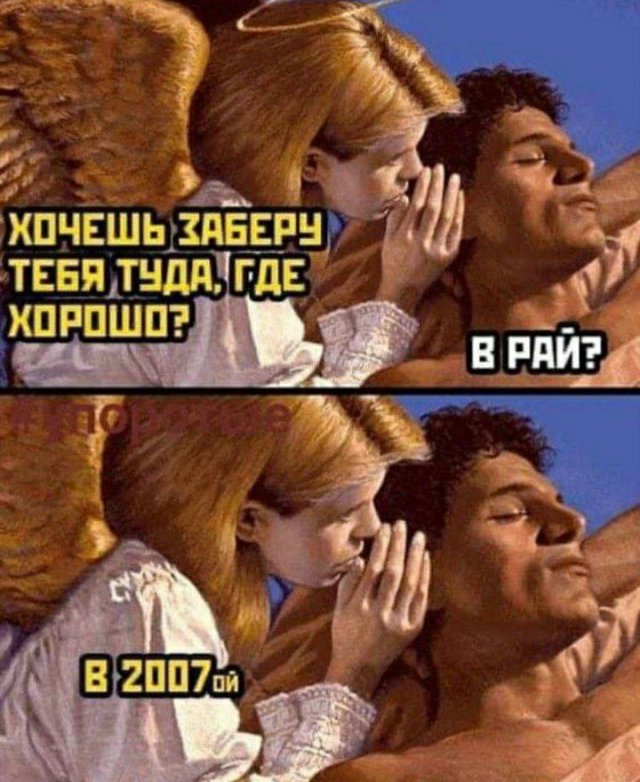 Интернет мемы и кот который не боится пылесоса 