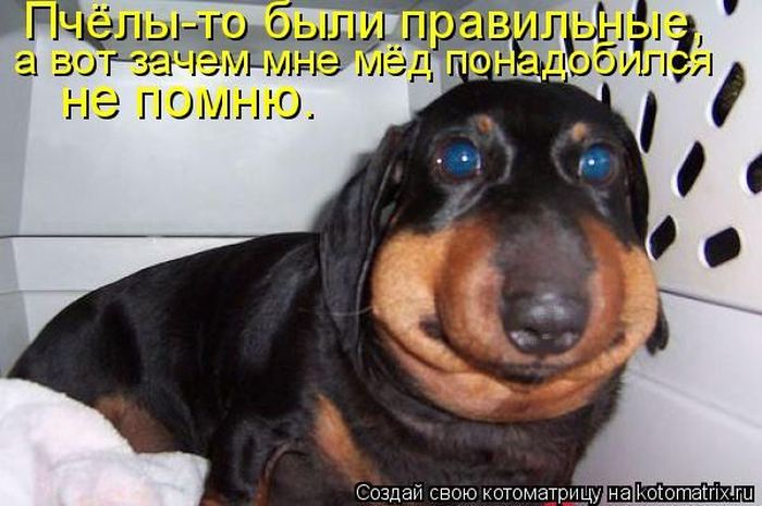 Мысли вслух :)