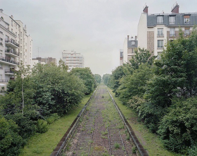 Заброшенная железная дорога в Париже заброшенное, природа, разрушение, цивилизация