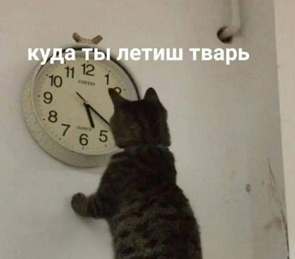 Юмор для тех, кто уже повзрослел и понял, что «бунт» — это лечь спать без чистки зубов Юмор для тех, кто уже повзрослел и понял, что «бунт» — это лечь спать без чистки зубов