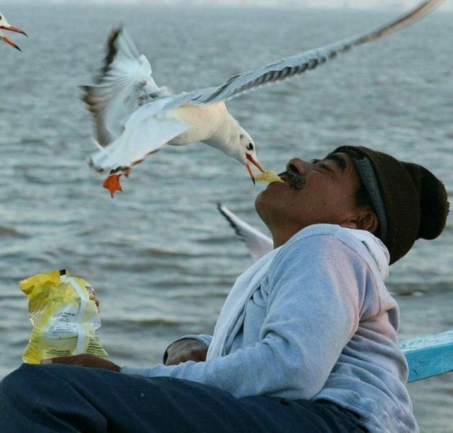 Самое забавное и смешное смешные картинки