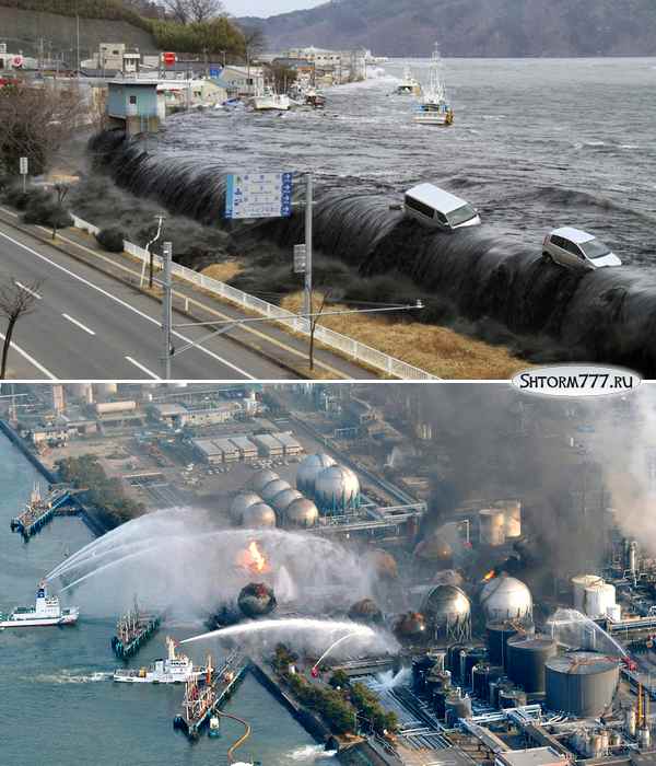 Oarfish Japan Earthquake Tsunami