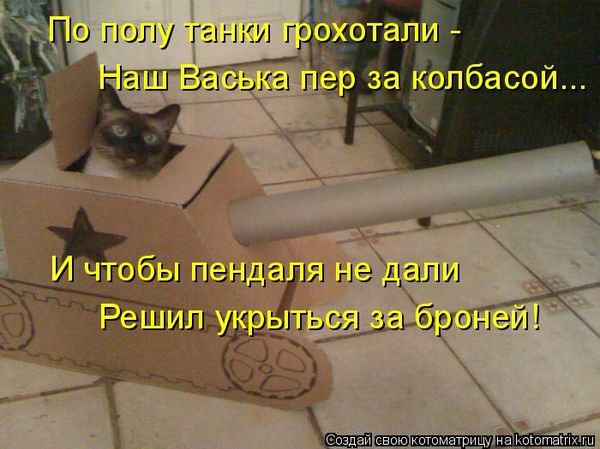 Если вы слишком много работаете - заведите кота. Силой личного примера он перетянет вас на сторону истинных ценностей: отдыха и ленивого созерцания (котоматрицы) Если вы слишком много работаете - заведите кота. Силой личного примера он перетянет вас на сторону истинных ценностей: отдыха и ленивого созерцания (котоматрицы)