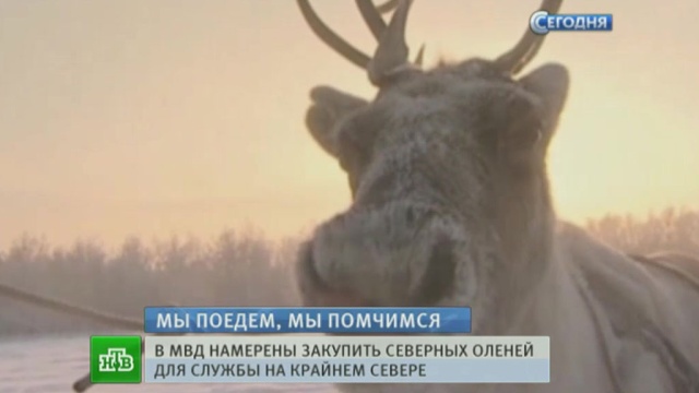 МЫ ПОЕДЕМ МЫ ПОМЧИМСЯ MP3 СКАЧАТЬ БЕСПЛАТНО МЫ ПОЕДЕМ МЫ ПОМЧИМСЯ MP3 СКАЧАТЬ БЕСПЛАТНО