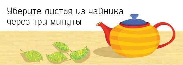 15 истин о чае, познавательное о чае, как правильно заваривать чай