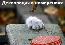 ЖИЗНЬ ЖИВОТНЫХ  Сначала, милота, настроения             , жизненные, ситуации                                                               