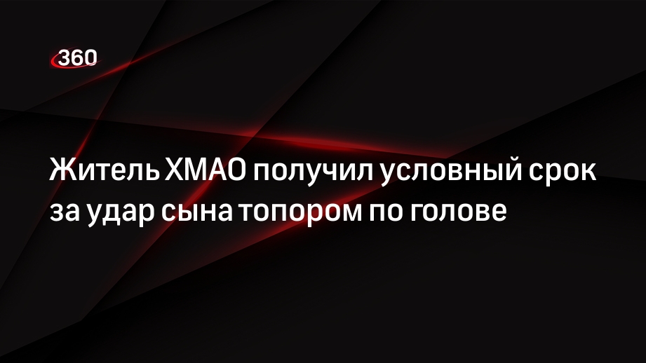 Житель ХМАО получил условный срок за удар сына топором по голове