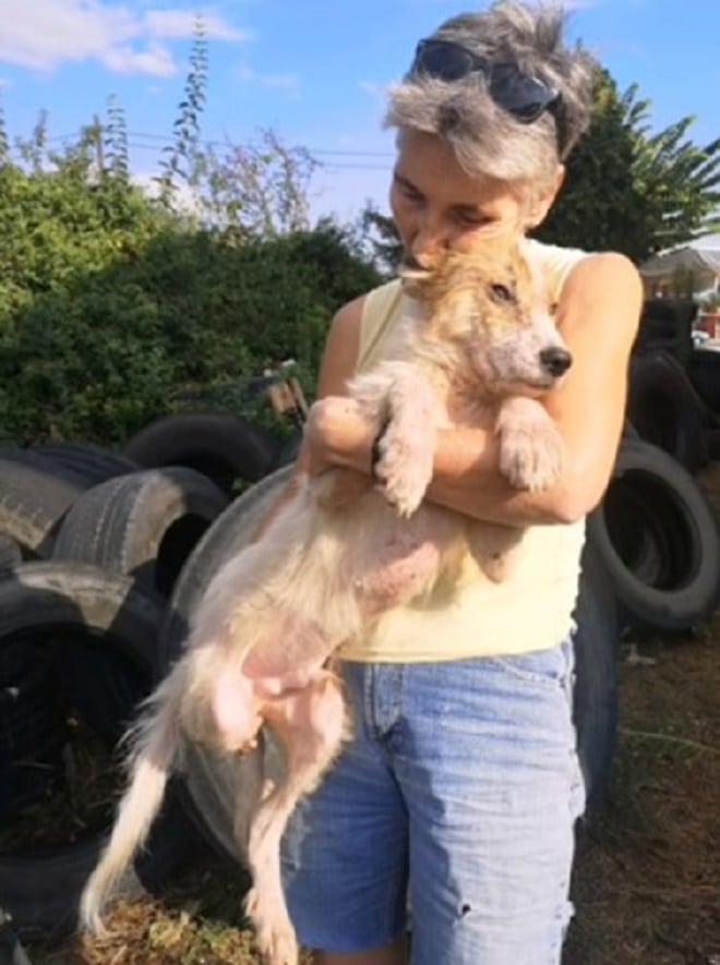 Пес и женщина