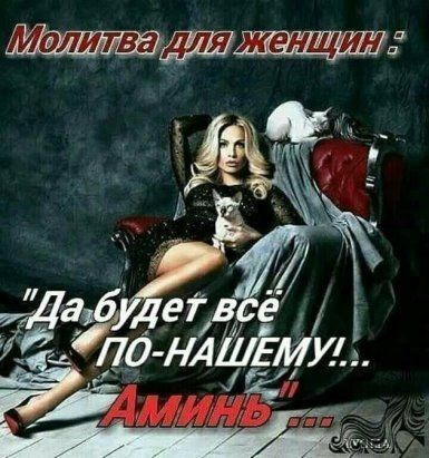 Яркие шутки, чтобы получить хорошее настроение 