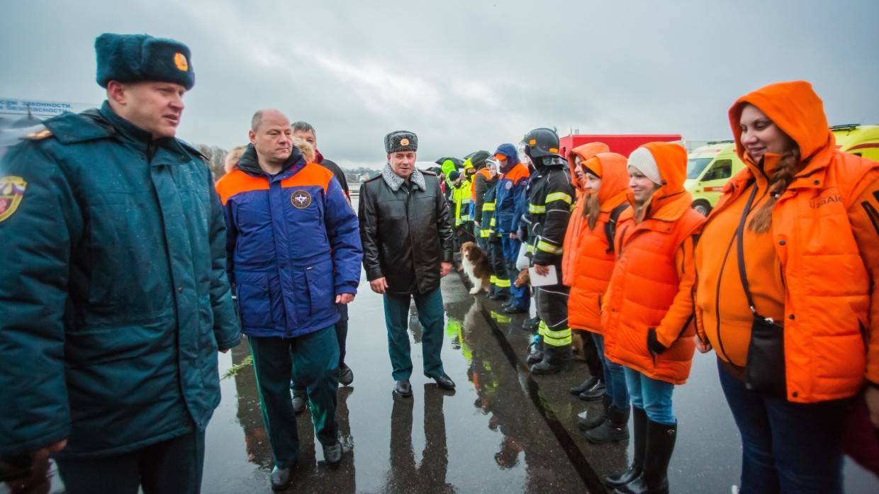 «ЛизаАлерт»: в России каждый год пропадают примерно 180 тысяч человек