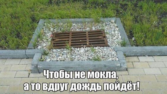 Свежая подборка веселых картинок с надписями 