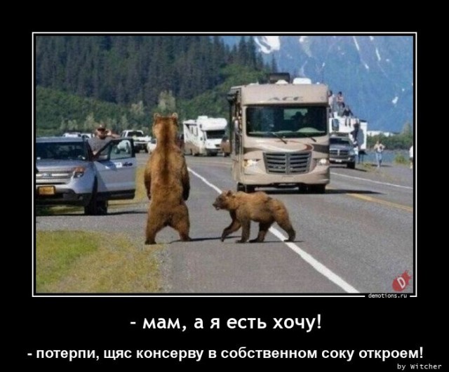 Традиционная коллекция демотиваторов для ценителей приколов и юмора! 