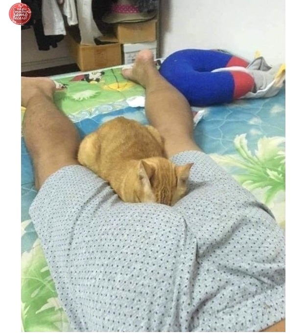 Собрался на рыбалку. Не смог найти сигареты. Взял сигареты сына. Через час поймал трех дельфинов, двух акул и одно лохнесское чудовище веселые картинки