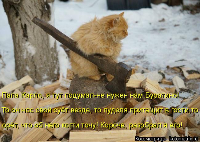 Котоматрица: То он нос свой суёт везде, то пуделя притащит в гости,то орёт, что об него когти точу! Короче, разобрал я его! Папа Карло, я тут подумал-не нуже