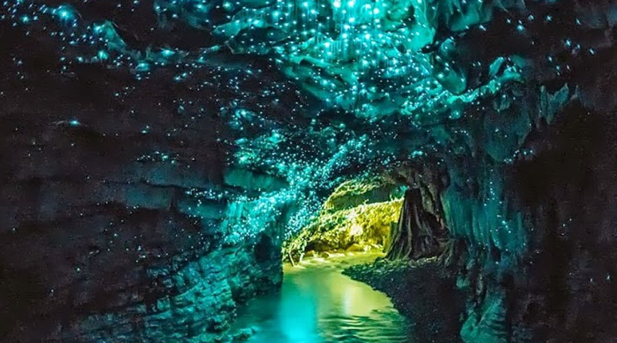 Пещеры Вайтомо В Новой Зеландии находится одно из самых удивительных природных чудес мира. Пещеры Вайтомо стали домом для миллионов светлячков: в постоянной темноте они образуют на стенах пещеры свой собственный космос.