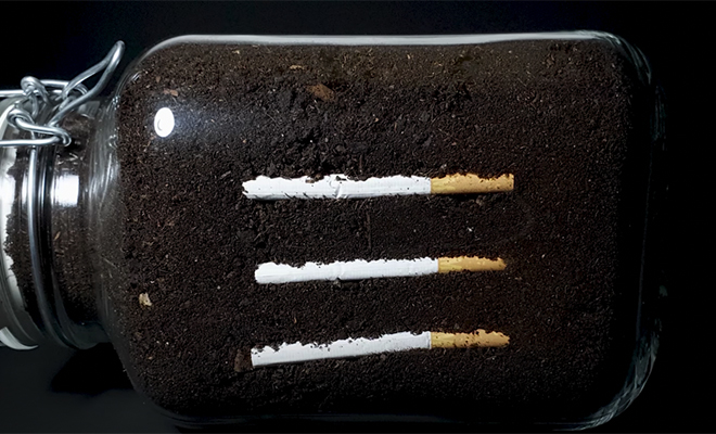Мужчина закопал сигареты в трехлитровую банку и показал, как за год меняется земля вокруг них 