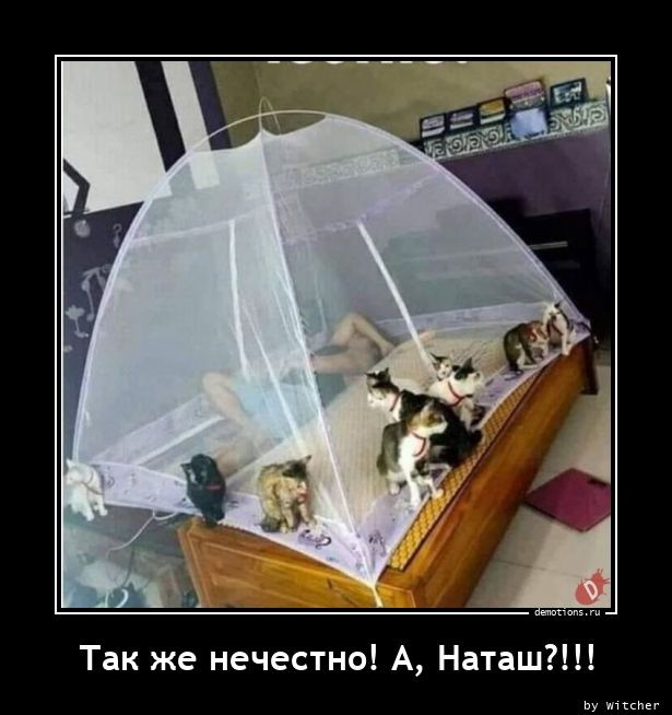 Традиционная коллекция демотиваторов для ценителей приколов и юмора! 