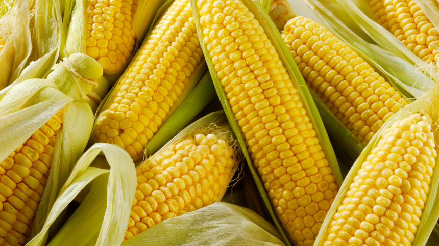 «Плохая идея»: почему кукурузу и арбузы летом лучше не есть