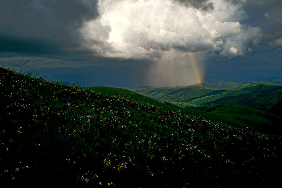 山雨 by 白樺  on 500px.com