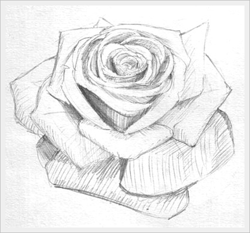 4195696_11400x372 (500x467, 130Kb)