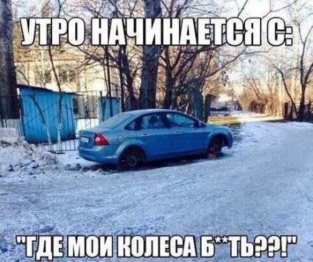 Автоприколы. Поделитесь с друзьями!