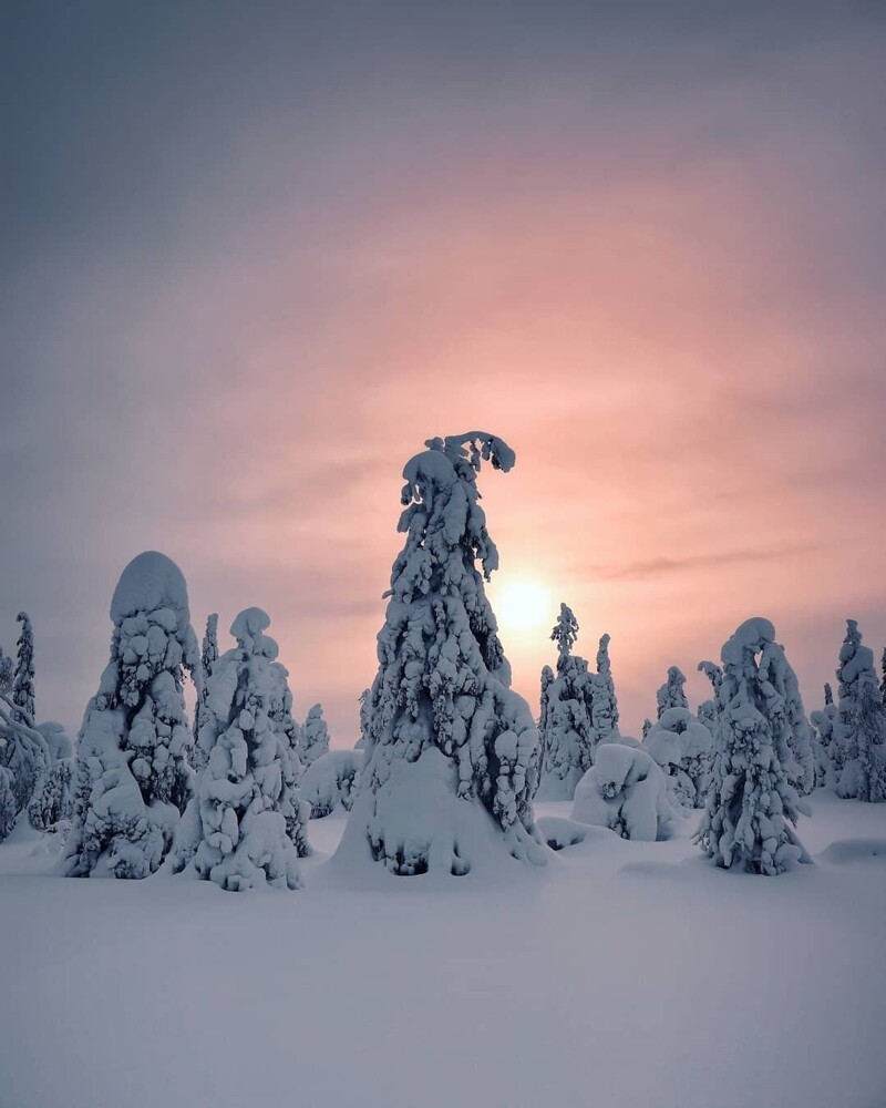 Исландия и Финляндия на атмосферных фотоснимках Траутвейн, пейзажной, Читать, путешествий , ландшафтов, природы, много, снимает, фотографии, приключенческой, основном, Trautwein, фокусируется, Финляндия, Лапландии, проживающая, время, настоящее, путешественница, фотографсамоучка