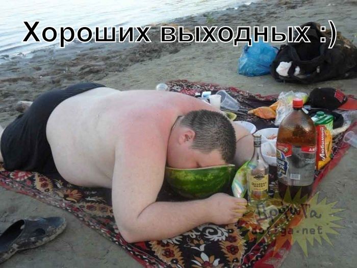 Отличная подборка юмора в картинках для поднятия настроения 