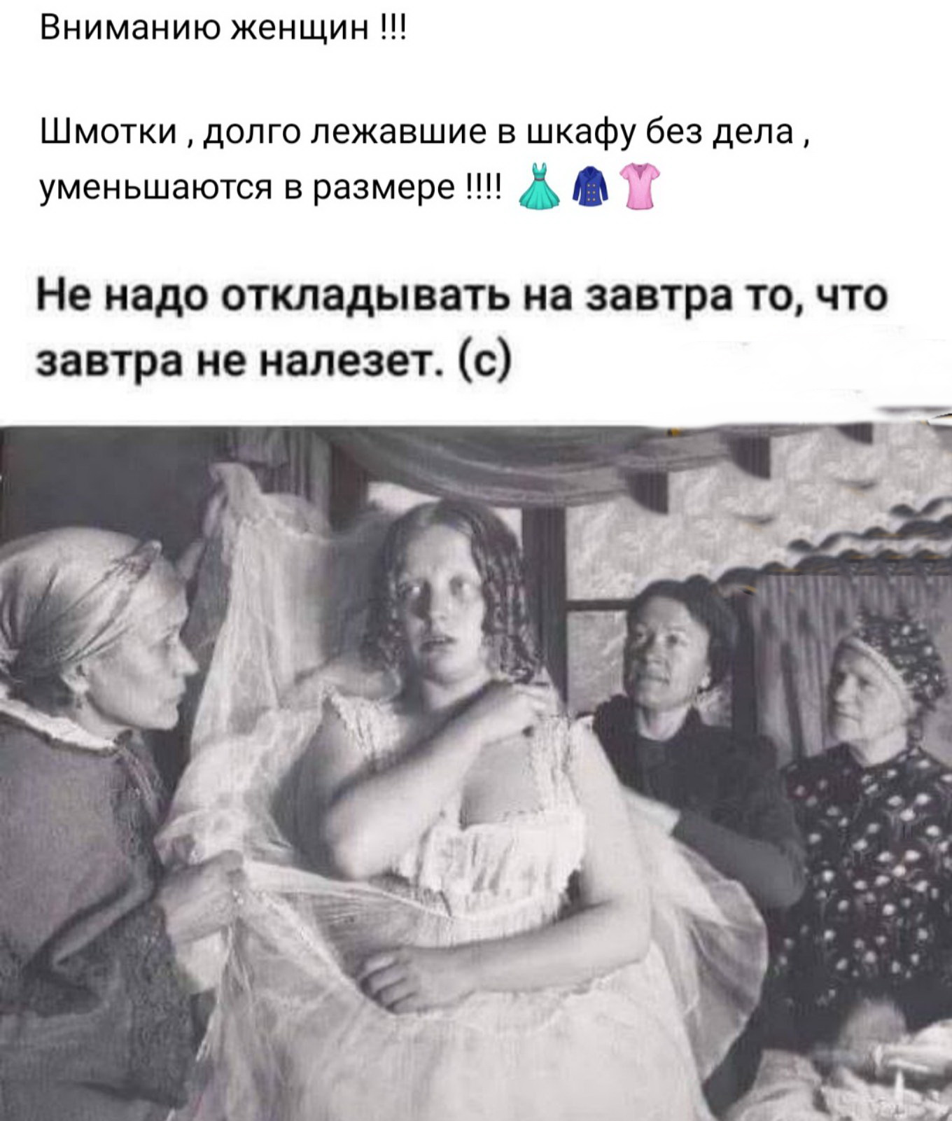 Яркие шутки, чтобы получить хорошее настроение 