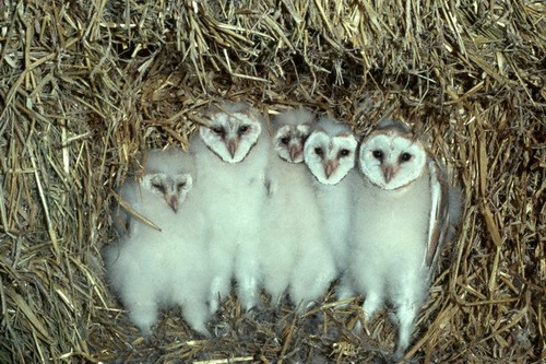 Спим в неожиданных местах и позах