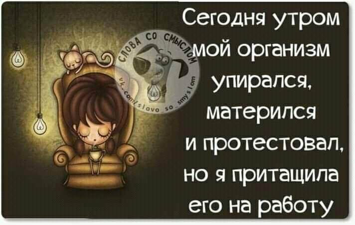 - Дорогой, а ты знаешь, что крольчиха несколько раз в год меняет свою шубку?...