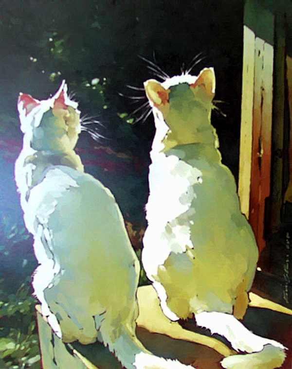 Kim Starr и её солнечные работы Kim Starr и её солнечные работы