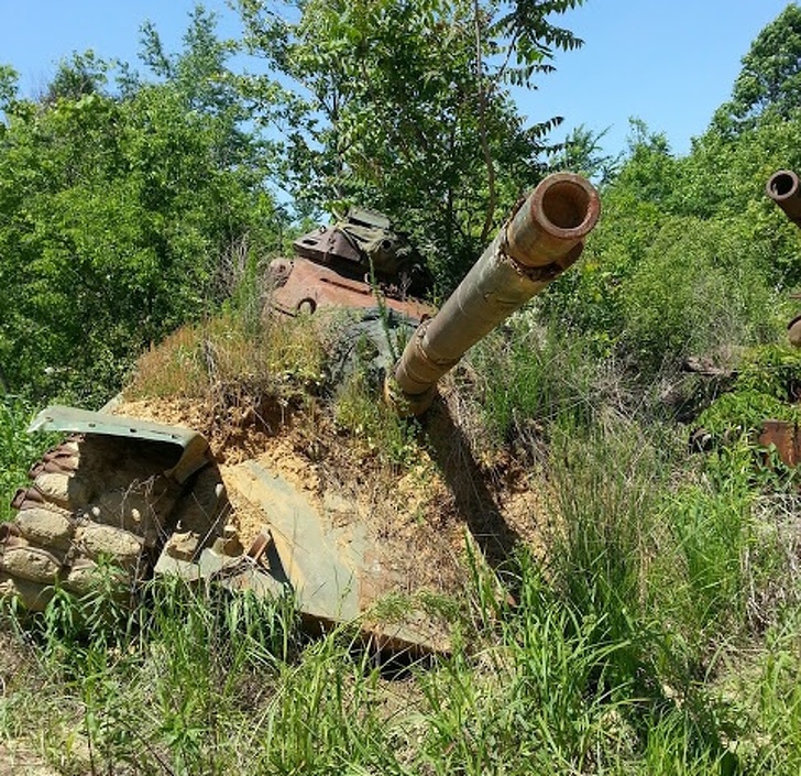 20 фото, которые подтверждают, что на нашей планете нет ничего могущественнее силы природы интересное,природа,фотография