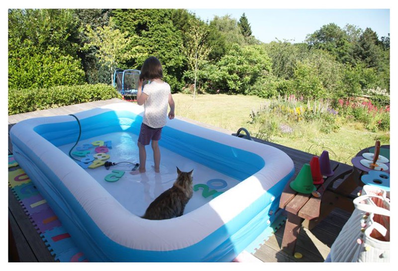 24. Кошка, которая готова составить компанию хозяйке даже в бассейне животные, настроение, фото