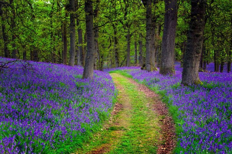 Шотландские пейзажи невообразимой красоты Европа,пейзажи,природа,Шотландия