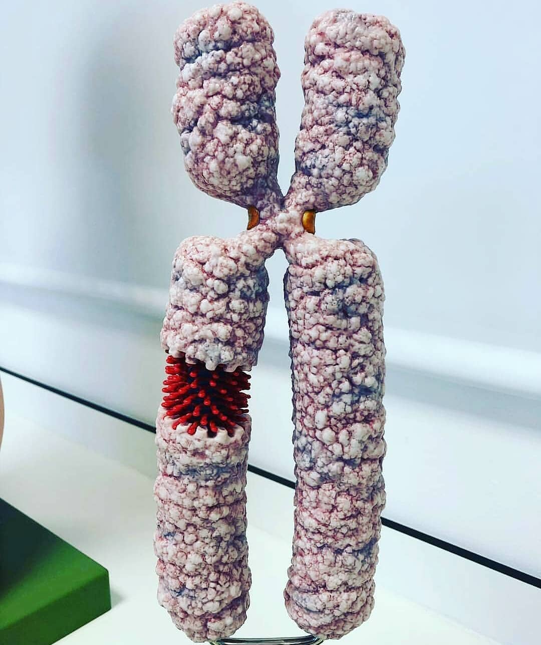 Лучше любого учебника: 20+ изображений об анатомии человека, которые вас удивят Лучше любого учебника: 20+ изображений об анатомии человека, которые вас удивят анатомия,медицина,наука,организм