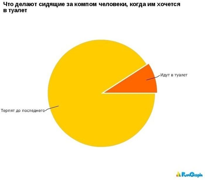 Терпит в туалет до последнего