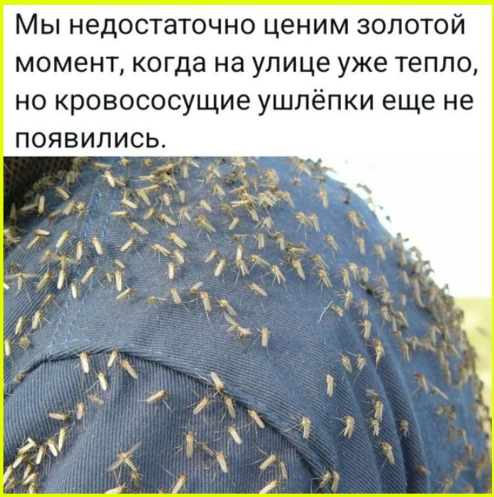 Юмор на сон грядущий Пятница 
