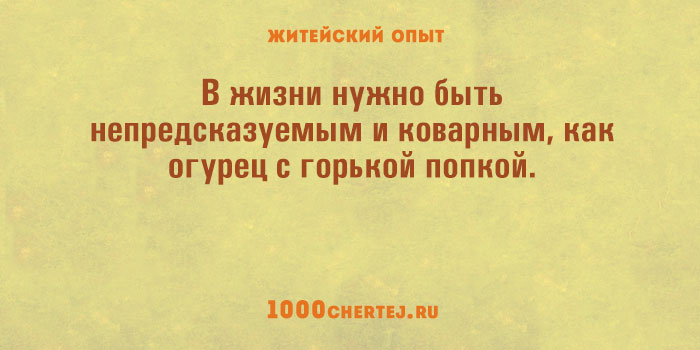 На житейском опыте основано. В жизни нужно быть непредсказуемым и коварным как огурец с горькой. В жизни надо быть непредсказуемым и коварным как огурец. Обыденный опыт. В жизни нужно быть непредсказуемой и коварной как.