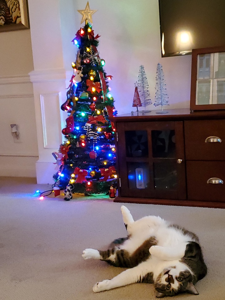 18 теплых новогодних историй, которые пропитаны ароматом мандаринов, хвои и волшебства 18 теплых новогодних историй, которые пропитаны ароматом мандаринов, хвои и волшебства