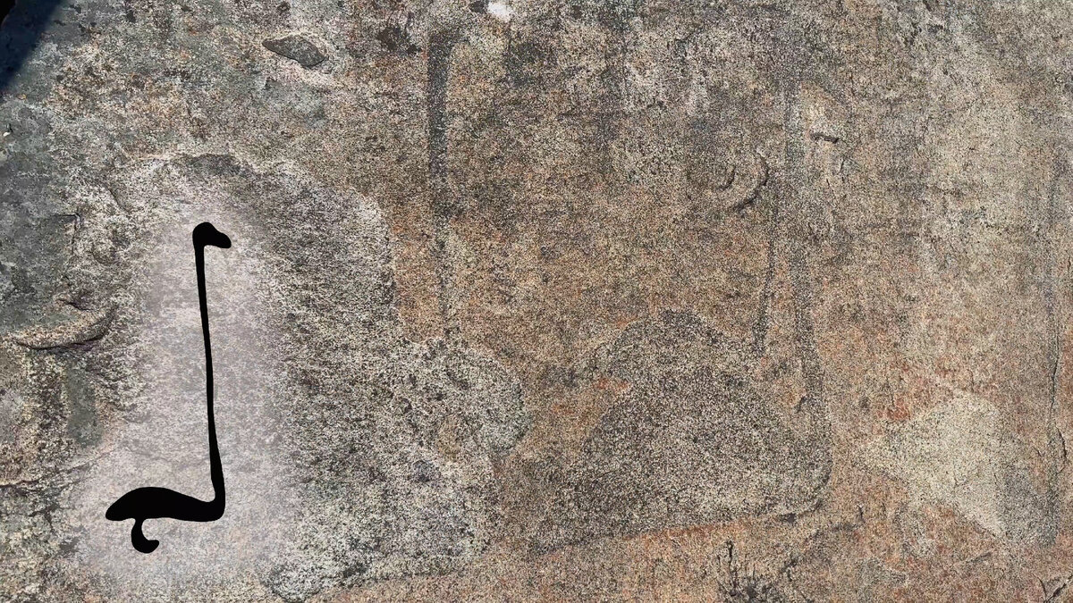 А вы знали, что на побережье Онежского озера есть рисунки возрастом в 5 000 лет? До них непросто добраться. Но реально. Делимся опытом.-10