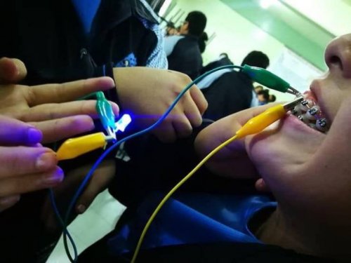 Что здесь происходит?! Что здесь происходит?! приколы,смешные картинки,юмор