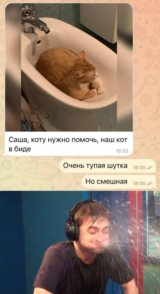 Подборка смешных картинок. Вечерний выпуск Подборка смешных картинок. Вечерний выпуск приколы,смешные картинки,юмор