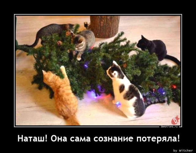 Очередная коллекция демотиваторов для вашего прекрасного предпраздничного настроения! 